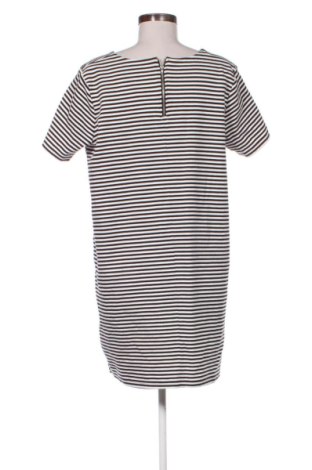 Šaty  Esmara, Veľkosť XL, Farba Viacfarebná, Cena  23,95 €