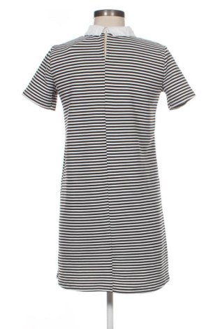 Φόρεμα Zara, Μέγεθος M, Χρώμα Πολύχρωμο, Τιμή 16,99 €