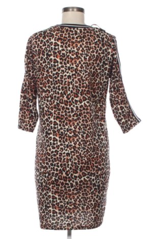 Kleid Zeeman, Größe XL, Farbe Mehrfarbig, Preis 25,99 €
