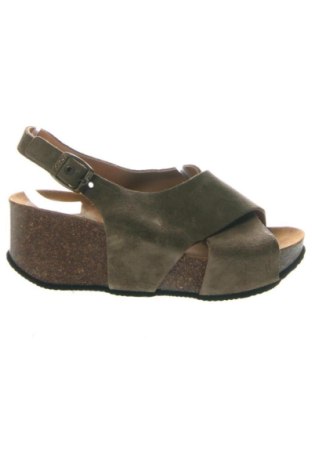 Sandalen Scholl, Größe 38, Farbe Grün, Preis 82,99 €