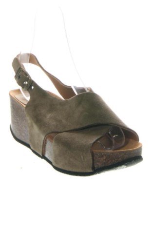 Sandalen Scholl, Größe 38, Farbe Grün, Preis 82,99 €