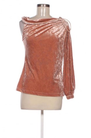 Γυναικεία μπλούζα Cocomore, Μέγεθος M, Χρώμα Καφέ, Τιμή 1,99 €