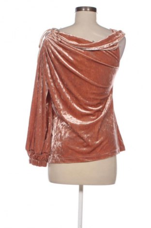 Γυναικεία μπλούζα Cocomore, Μέγεθος M, Χρώμα Καφέ, Τιμή 1,99 €