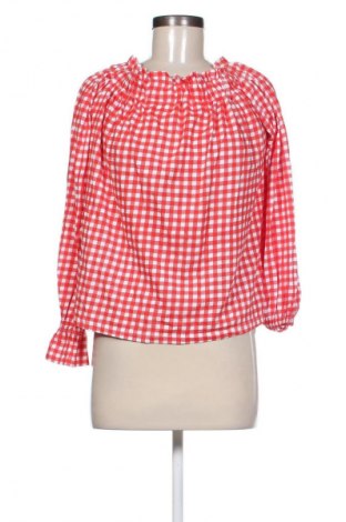 Γυναικεία μπλούζα Terranova, Μέγεθος XL, Χρώμα Πολύχρωμο, Τιμή 3,99 €