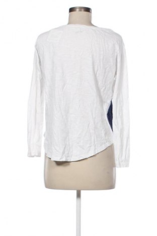 Dámská halenka Twintip, Velikost M, Barva Vícebarevné, Cena  49,00 Kč