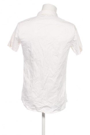 Pánská košile  Unbranded, Velikost L, Barva Krémová, Cena  119,00 Kč