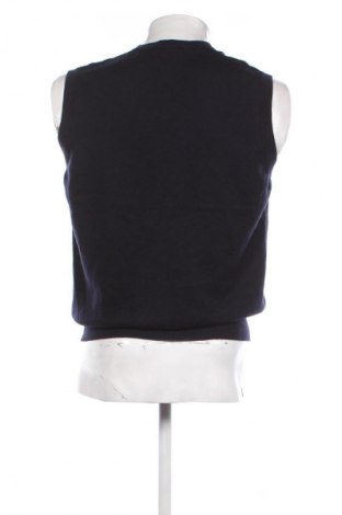 Herrenpullover Walbusch, Größe L, Farbe Blau, Preis € 13,99