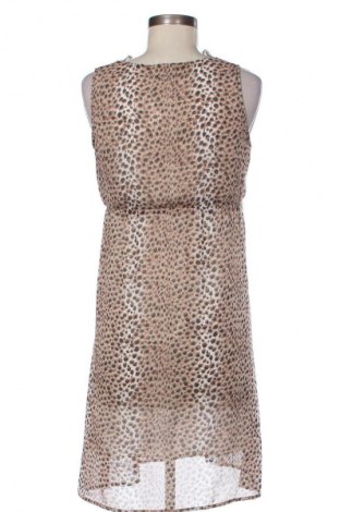 Rochie Oltre, Mărime M, Culoare Multicolor, Preț 41,99 Lei