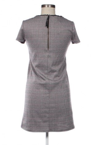 Kleid Promod, Größe S, Farbe Mehrfarbig, Preis € 4,99