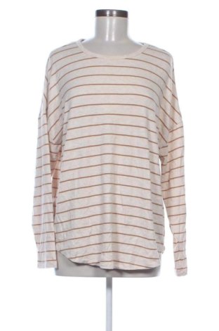 Damen Shirt Anko, Größe XL, Farbe Mehrfarbig, Preis 12,99 €
