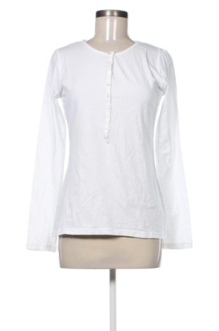 Damen Shirt Aspesi, Größe M, Farbe Weiß, Preis 81,99 €