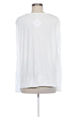 Damen Shirt Brax, Größe XL, Farbe Mehrfarbig, Preis € 32,99