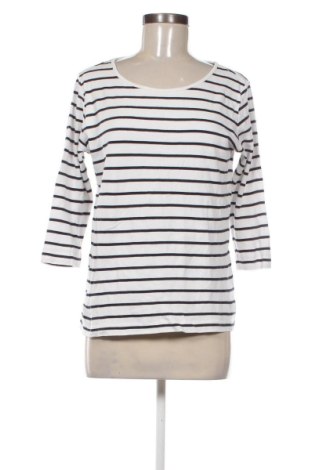 Damen Shirt Cecil, Größe L, Farbe Mehrfarbig, Preis 22,99 €