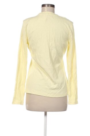 Damen Shirt Country Road, Größe M, Farbe Gelb, Preis 31,99 €