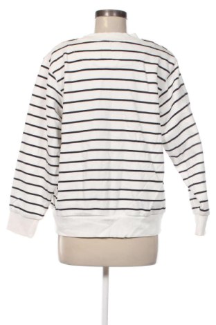 Damen Shirt Country Road, Größe L, Farbe Mehrfarbig, Preis 31,99 €