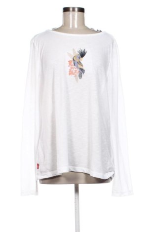 Bluzka damska Craghoppers, Rozmiar XL, Kolor Kolorowy, Cena 129,99 zł