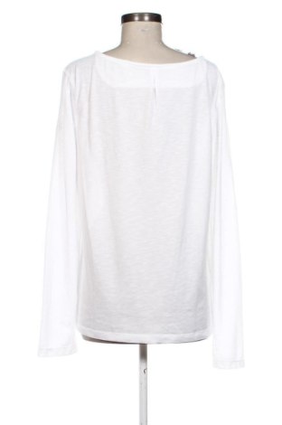 Bluzka damska Craghoppers, Rozmiar XL, Kolor Kolorowy, Cena 129,99 zł
