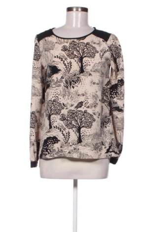 Damen Shirt Dorothy Perkins, Größe M, Farbe Mehrfarbig, Preis € 13,81