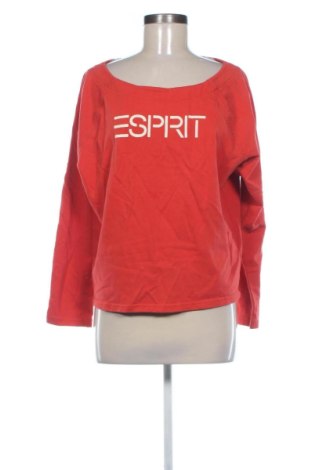 Damen Shirt Esprit, Größe M, Farbe Mehrfarbig, Preis € 17,00, #136474919
