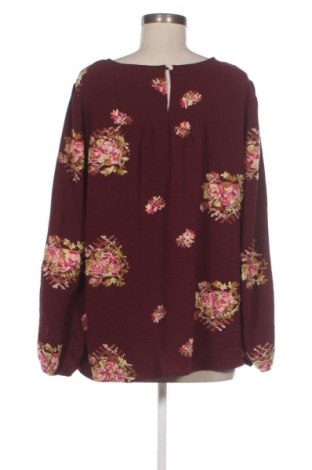 Damen Shirt Figueroa & Flower, Größe XL, Farbe Mehrfarbig, Preis € 9,78
