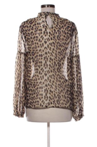 Damen Shirt Jake*s, Größe M, Farbe Mehrfarbig, Preis € 22,99