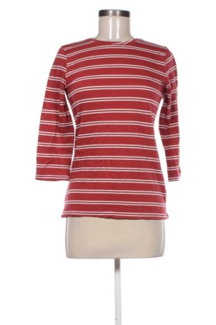 Damen Shirt LC Waikiki, Größe S, Farbe Mehrfarbig, Preis € 20,00, #136488967