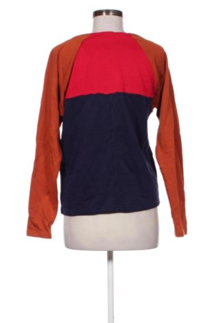 Damen Shirt Lacoste, Größe L, Farbe Mehrfarbig, Preis 42,00 €