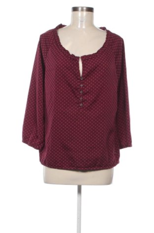 Damen Shirt Lerros, Größe L, Farbe Mehrfarbig, Preis 22,99 €