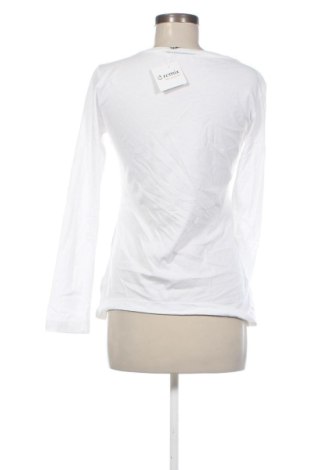 Damen Shirt Mexx, Größe M, Farbe Weiß, Preis 22,99 €