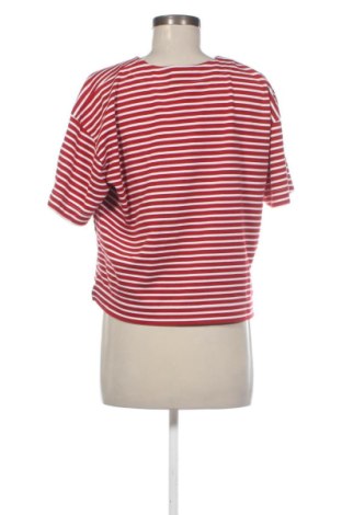 Bluză de femei Sani Blu, Mărime XXL, Culoare Multicolor, Preț 85,99 Lei