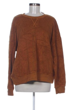Damen Shirt Seed, Größe XL, Farbe Braun, Preis 31,99 €