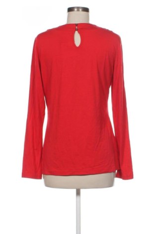 Damen Shirt Taifun, Größe M, Farbe Rot, Preis 31,99 €