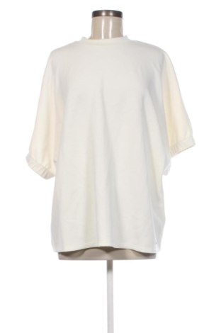 Damen Shirt Taifun, Größe L, Farbe Ecru, Preis 27,99 €