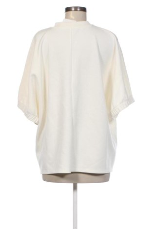 Damen Shirt Taifun, Größe L, Farbe Ecru, Preis 27,99 €