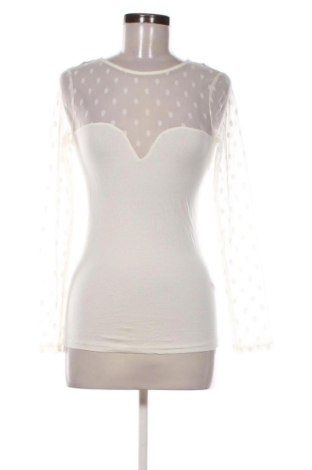 Damen Shirt Terranova, Größe S, Farbe Mehrfarbig, Preis € 12,99