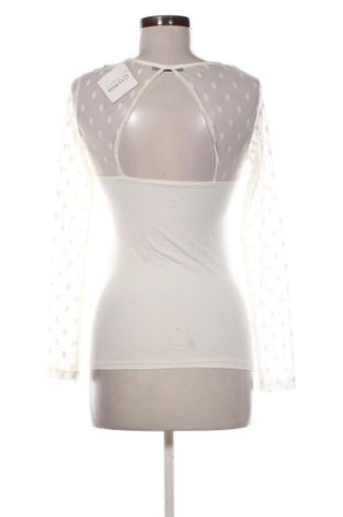 Damen Shirt Terranova, Größe S, Farbe Mehrfarbig, Preis € 12,99