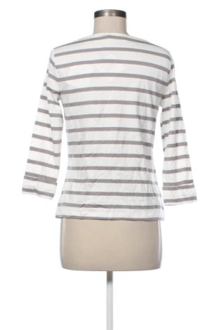 Dámska blúza Thomas Rath, Veľkosť S, Farba Viacfarebná, Cena  49,95 €