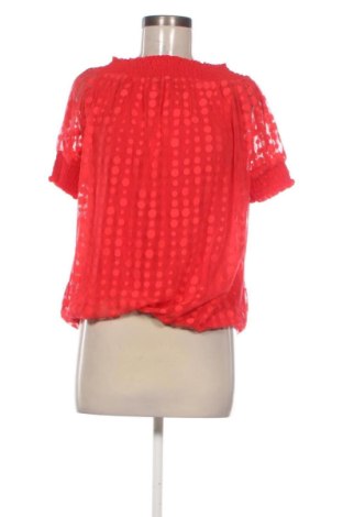 Damen Shirt Unbranded, Größe M, Farbe Mehrfarbig, Preis 12,99 €