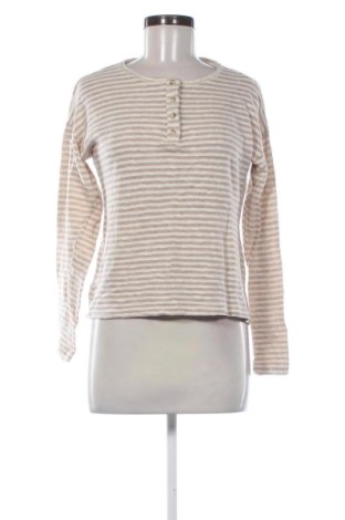 Damen Shirt Zara, Größe S, Farbe Mehrfarbig, Preis € 14,00