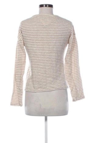 Damen Shirt Zara, Größe S, Farbe Mehrfarbig, Preis € 14,00
