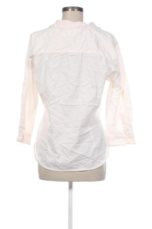 Damen Shirt Zara, Größe XL, Farbe Ecru, Preis € 18,99