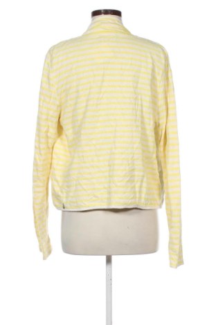 Damen Strickjacke Maison Scotch, Größe L, Farbe Mehrfarbig, Preis 52,75 €