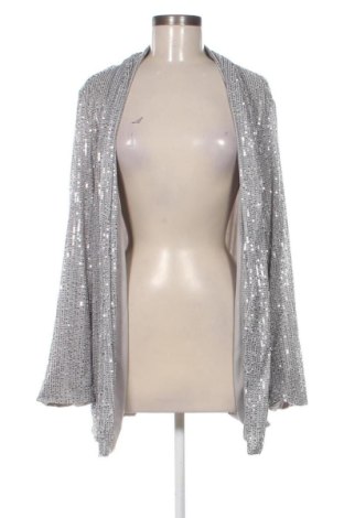Damen Strickjacke Unbranded, Größe XL, Farbe Silber, Preis 15,00 €
