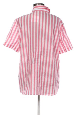 Dámska košeľa  Eterna, Veľkosť XL, Farba Viacfarebná, Cena  29,95 €