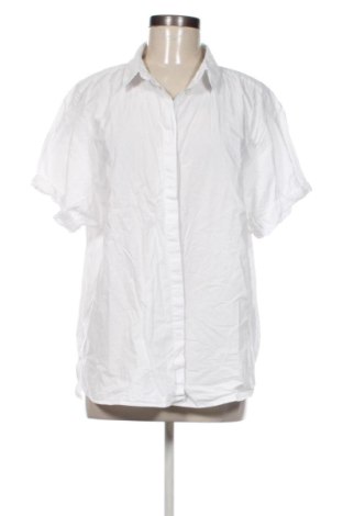 Damenbluse H&M L.O.G.G., Größe XL, Farbe Weiß, Preis 16,99 €