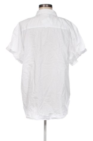 Damenbluse H&M L.O.G.G., Größe XL, Farbe Weiß, Preis 16,99 €