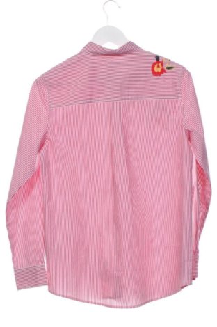 Damenbluse Oviesse, Größe XS, Farbe Mehrfarbig, Preis € 13,00