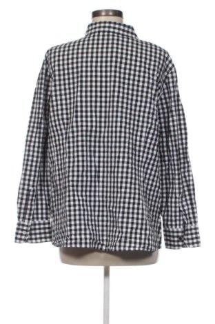 Damenbluse Peter Hahn, Größe XXL, Farbe Mehrfarbig, Preis 36,99 €