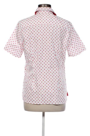 Damenbluse Peter Hahn, Größe L, Farbe Mehrfarbig, Preis 59,77 €