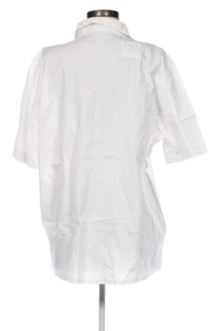 Dámská košile  Unbranded, Velikost 3XL, Barva Krémová, Cena  368,00 Kč